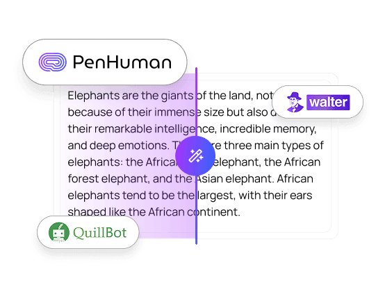 Top 5 AI Humanizer Tools to Humanize AI Text & Bypass Detectors in 2025